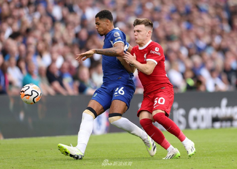 惊人的热情 惊人的热情