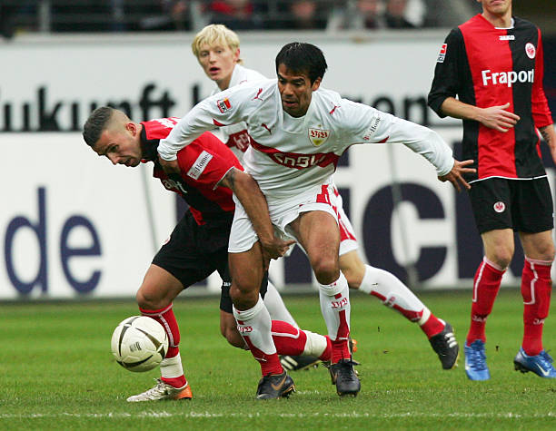 为一项重要 为一项重要