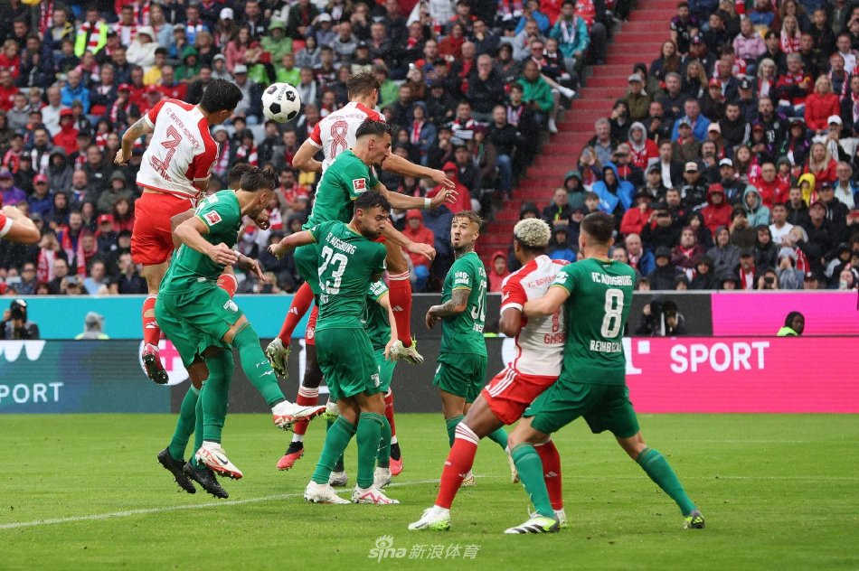 但可以肯定 但可以肯定